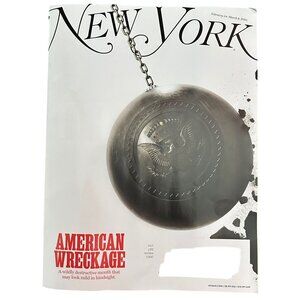 New York Magazine February 24 2025 American Wreckage Wildly Destructive Month